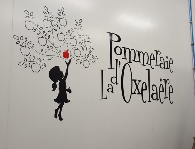 Plaques decoration murale : decouvrez les produits qui sublimeront